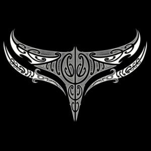 Kaitiaki Wallet Design