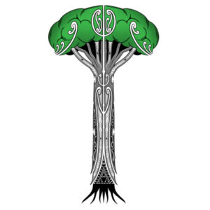 TALL KAURI TEE 2025 Design